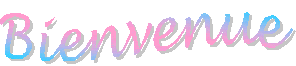 Bienvenue dans mon blog