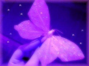 ~() BuTTerFly of A LiFe ()~